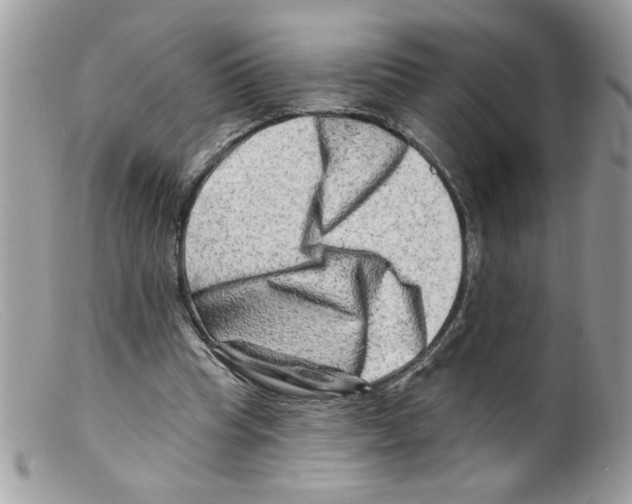 X0000098130345200805151121