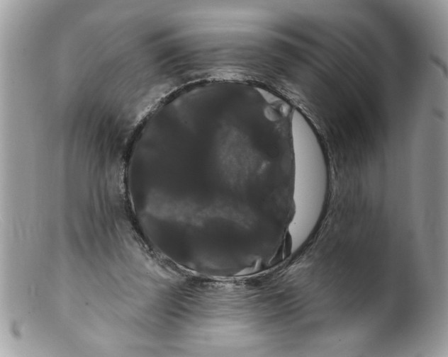 X0000098130347200805151121