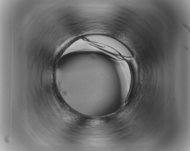 X0000098130348200805151121