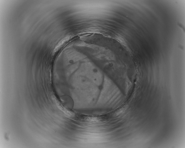 X0000098130349200805151121