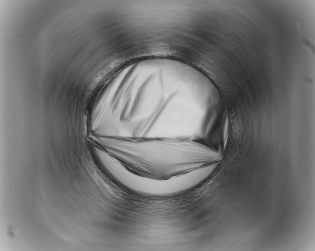 X0000098130350200805151121