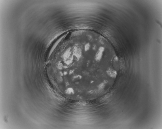 X0000098130351200805151121