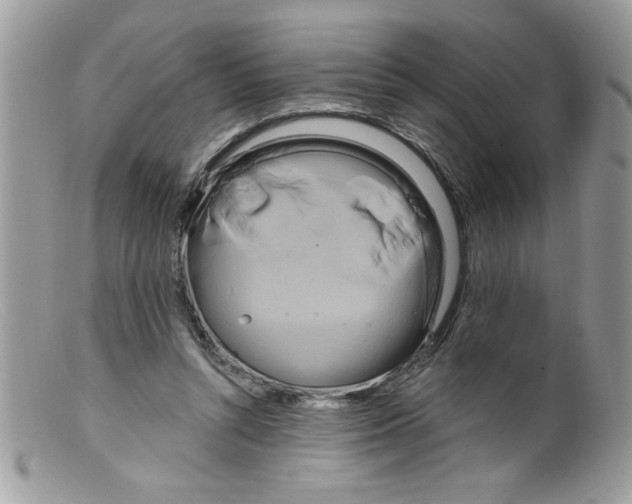 X0000098130352200805151121
