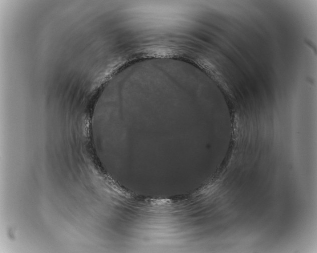 X0000098130355200805151121