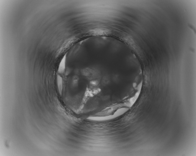 X0000098130357200805151121