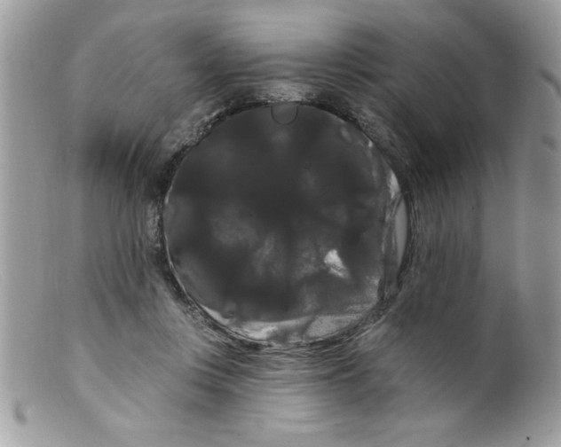 X0000098130359200805151121