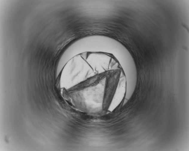 X0000098130360200805151121