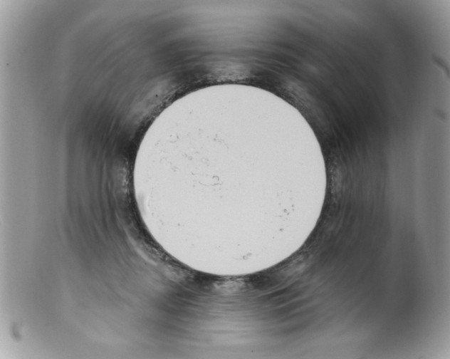 X0000098130362200805151121