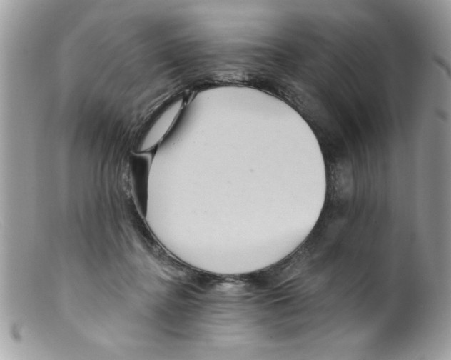 X0000098130364200805151121