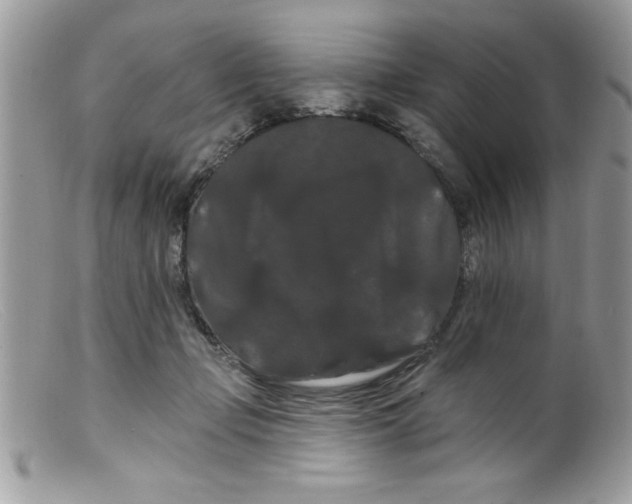 X0000098130365200805151121