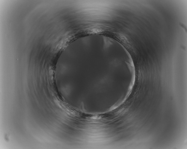 X0000098130366200805151121