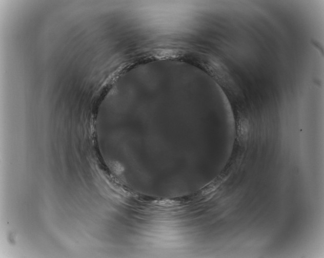 X0000098130367200805151121