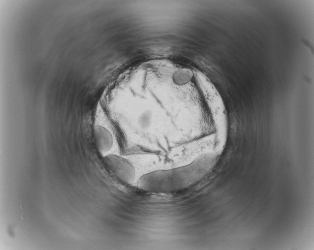 X0000098130369200805151121