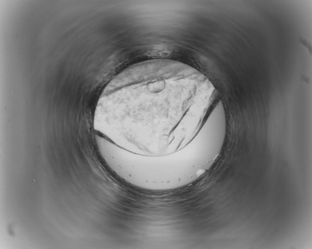 X0000098130370200805151121