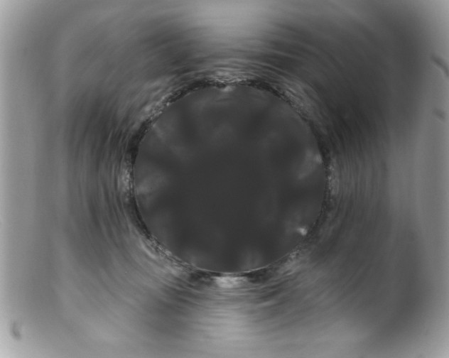 X0000098130371200805151121