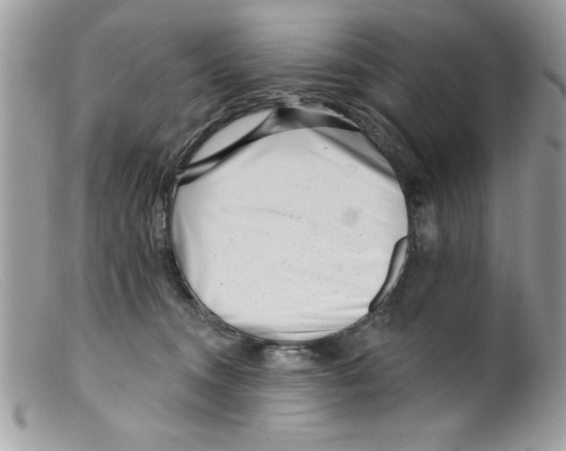 X0000098130372200805151121