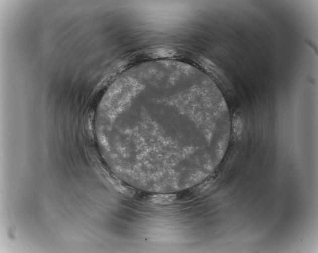 X0000098130373200805151121