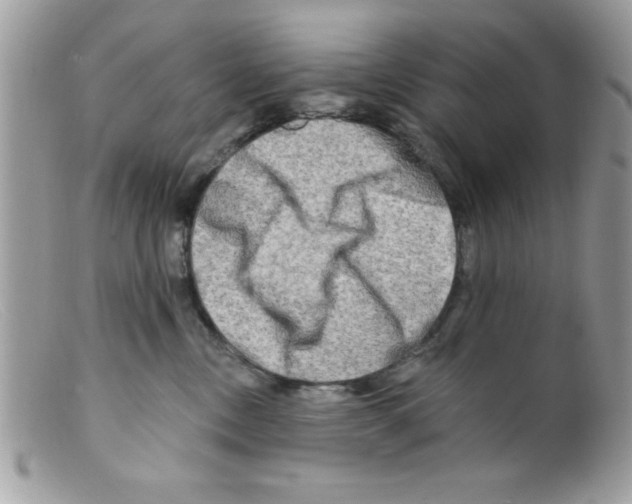 X0000098130378200805151121