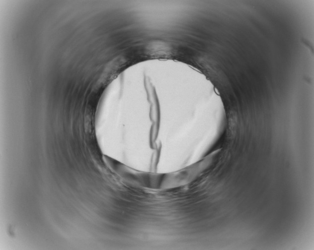 X0000098130379200805151121