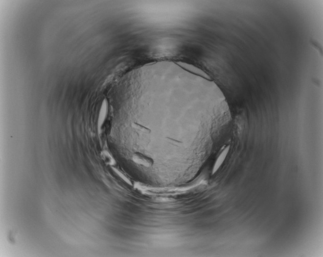 X0000098130380200805151121