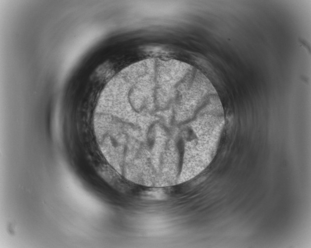 X0000098130381200805151121