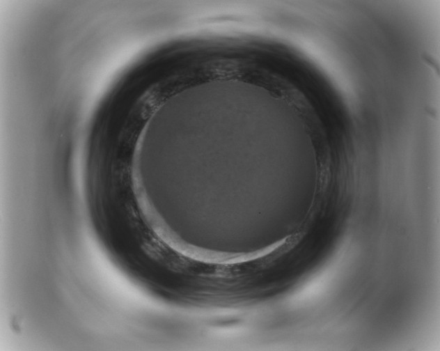 X0000098130383200805151121