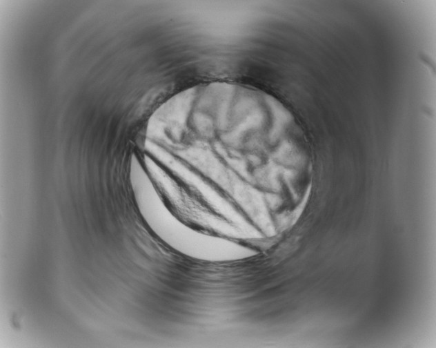 X0000098130384200805151121