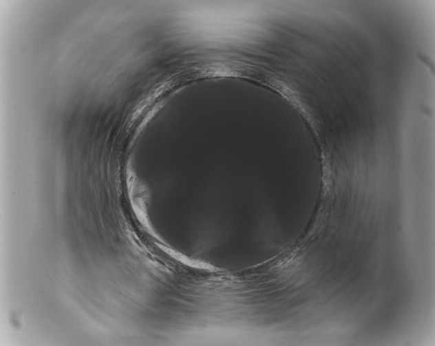 X0000098130386200805151121
