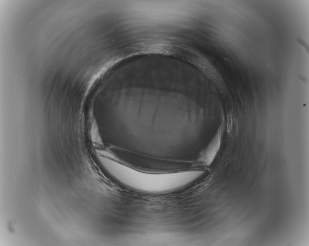 X0000098130388200805151121