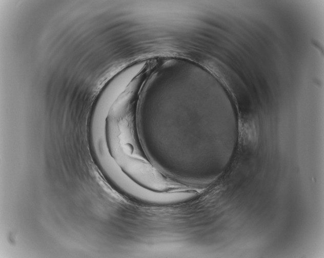 X0000098130389200805151121