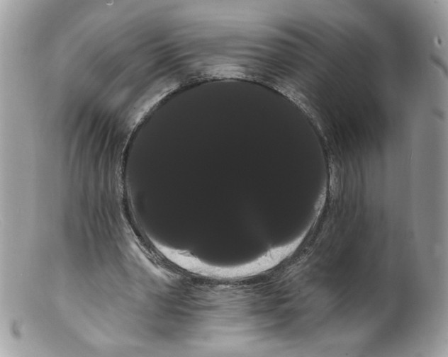 X0000098130390200805151121