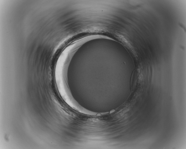 X0000098130392200805151121