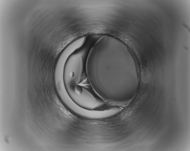 X0000098130393200805151121