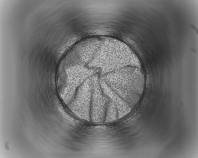 X0000098130394200805151121