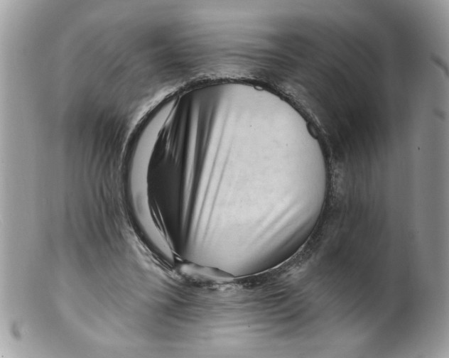 X0000098130395200805151121