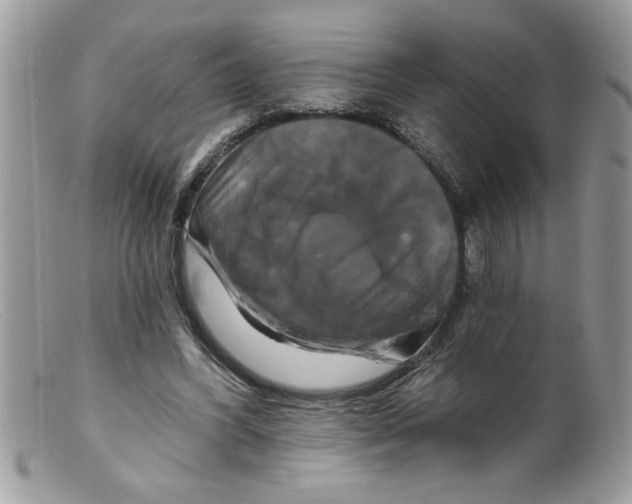 X0000098130396200805151120