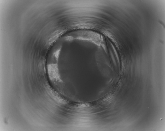 X0000098130398200805151120