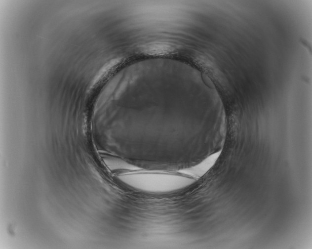 X0000098130400200805151120