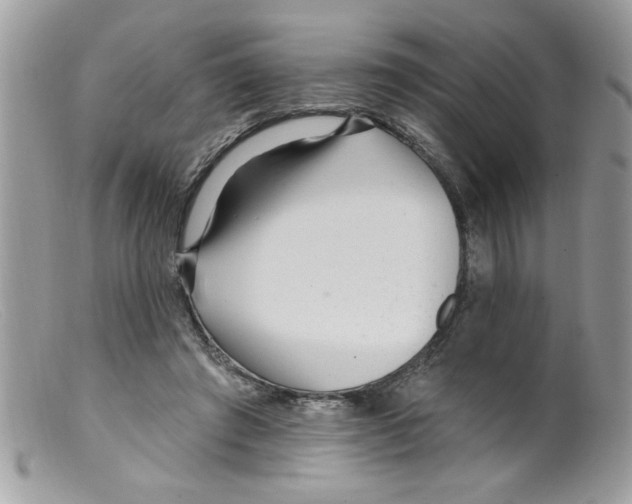 X0000098130401200805151120