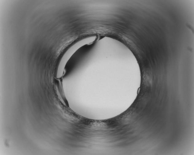 X0000098130403200805151120