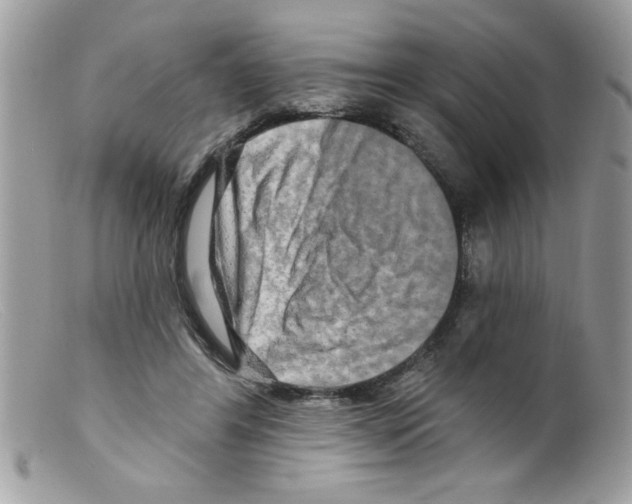 X0000098130404200805151120