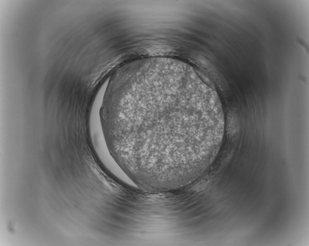 X0000098130405200805151120