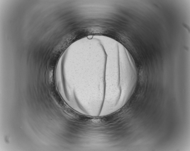 X0000098130406200805151120