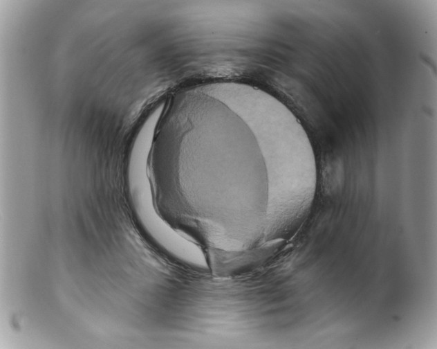 X0000098130407200805151120