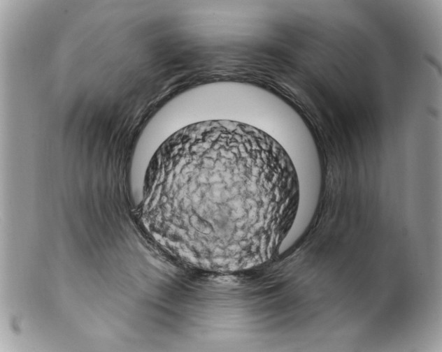 X0000098130409200805151120