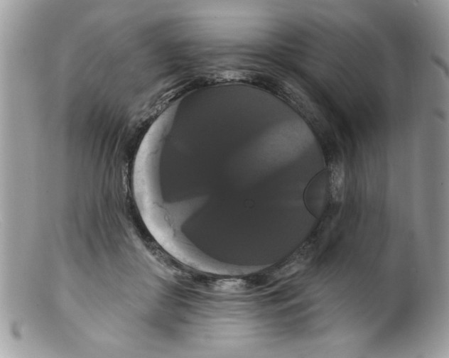 X0000098130410200805151120
