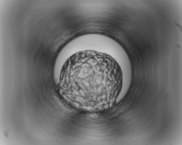 X0000098130411200805151120