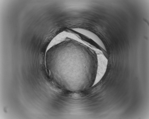 X0000098130412200805151120