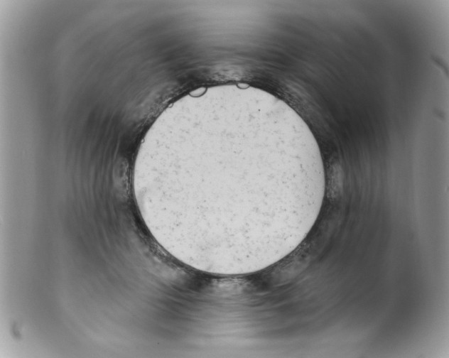 X0000098130414200805151120
