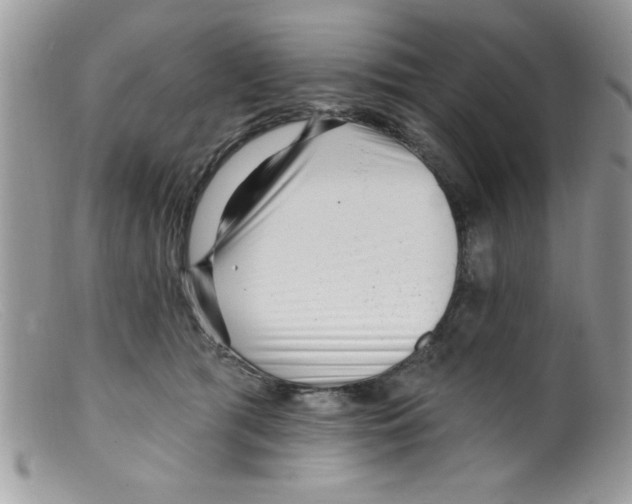 X0000098130417200805151120